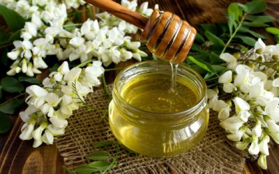 360_F_204548785_8rn2p7XM6AMMpGdPI3enixijgGaL1H3z